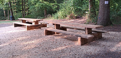 Neue Bänke im Oberholz